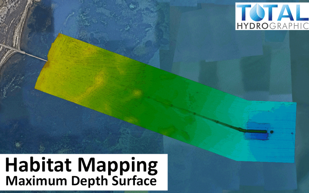 Marine Habitat Mapping – Top 7 Ways to Map
